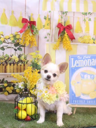 20240411モナちゃん